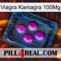 Viagra Kamagra 100Mg 04